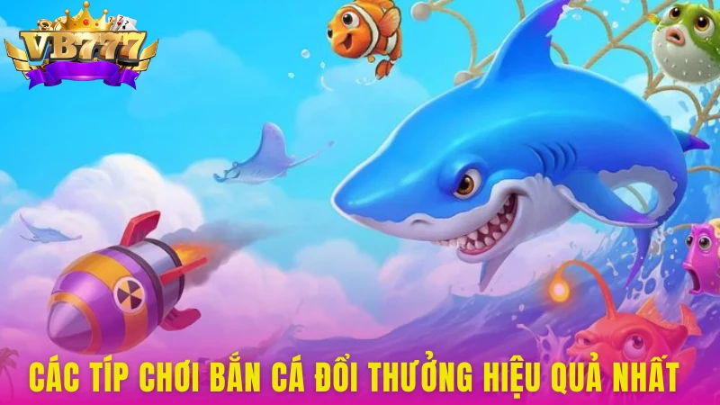 Mách bạn một số kinh nghiệm săn cá bất bại trên mọi mặt trận